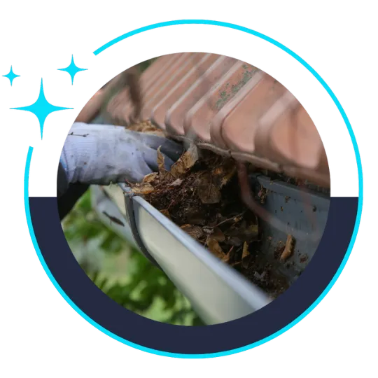Gutter cleaning